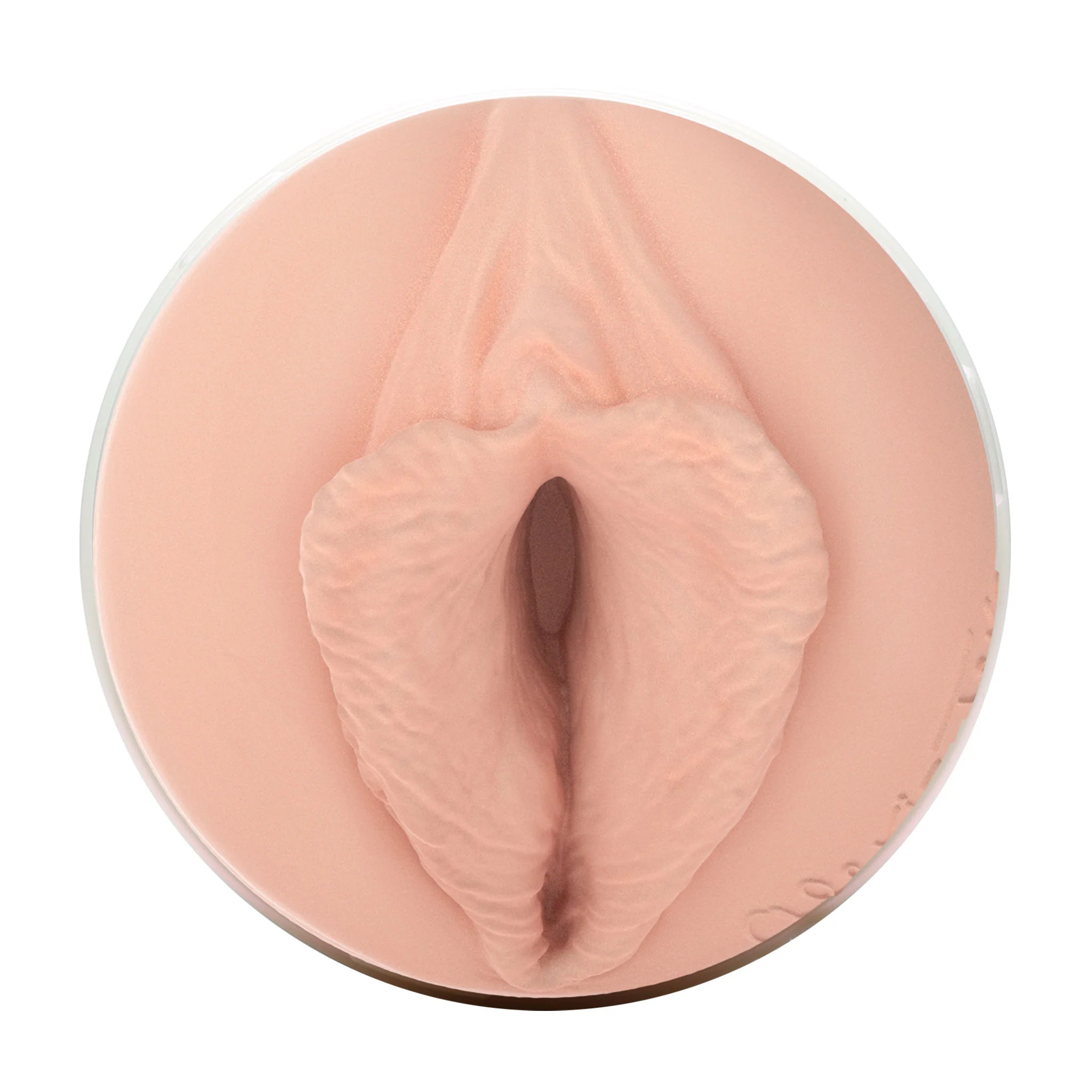 Alexis Texas Fleshlight - Image 4