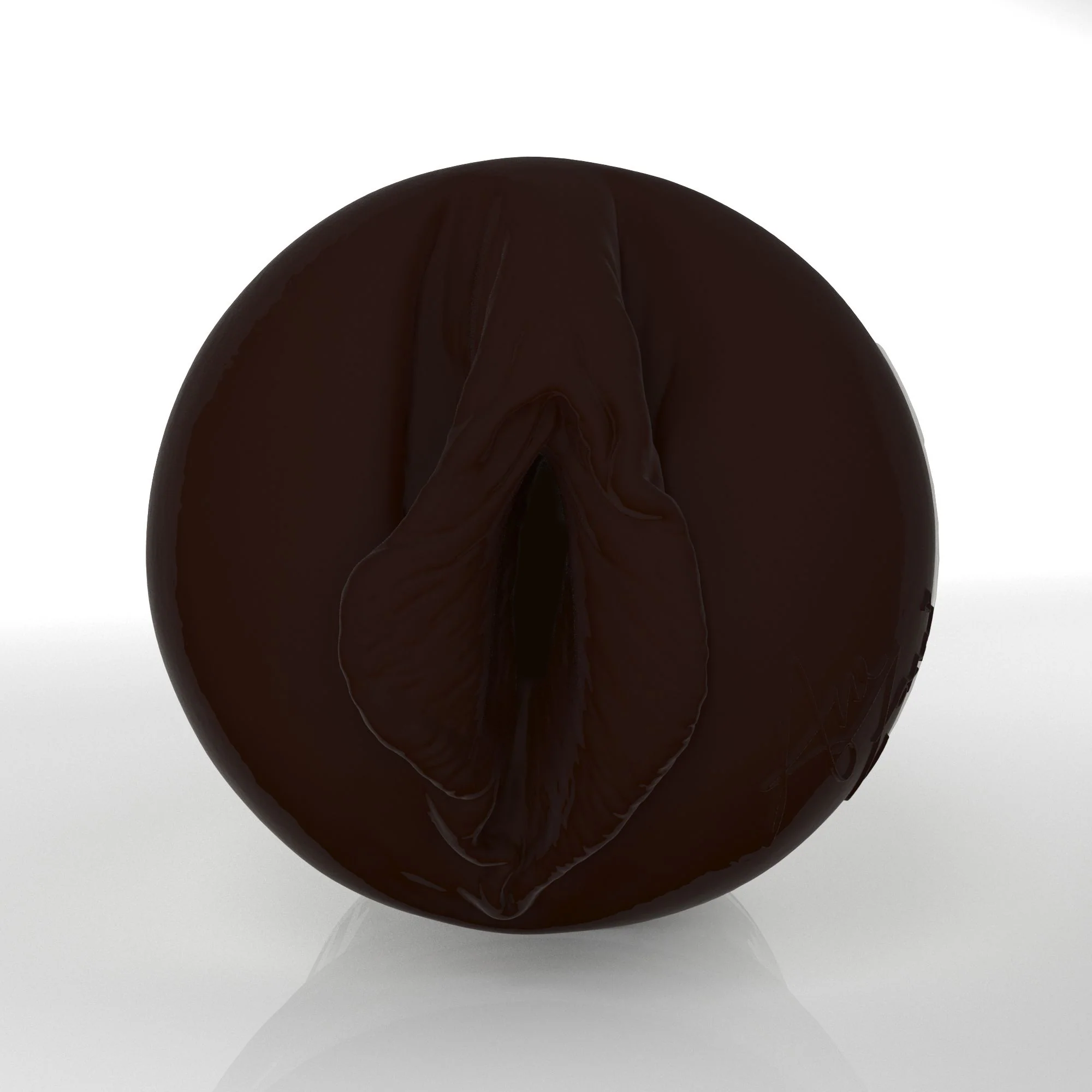 Ana Foxxx X3 2026 Edition Fleshlight - Image 3