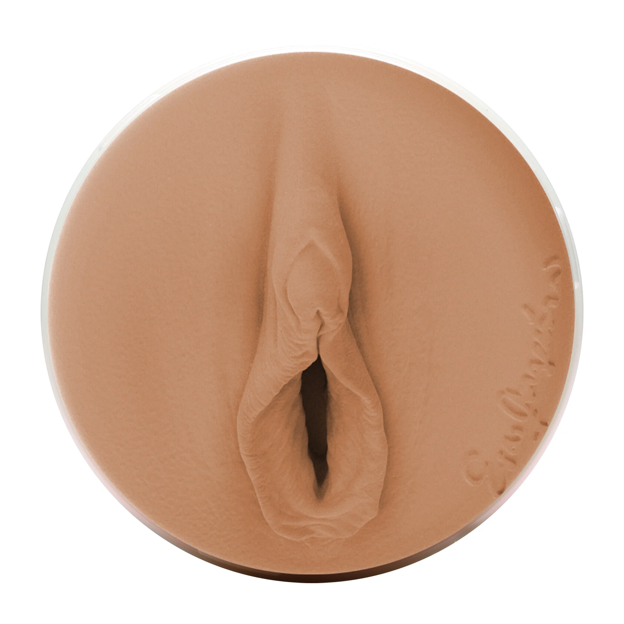 Eva Angelina Fleshlight - Image 4