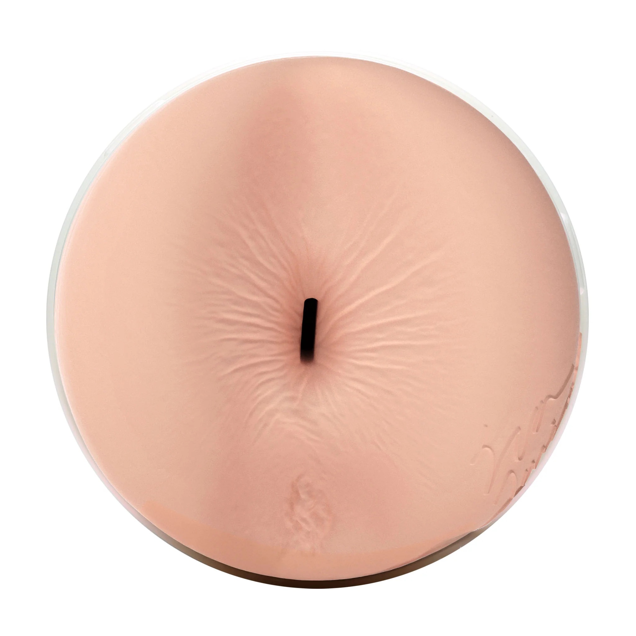 Eva Lovia Fleshlight - Image 5