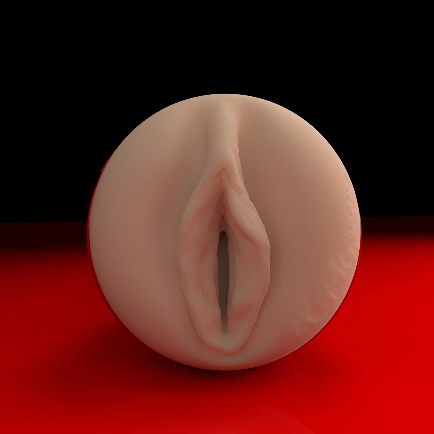 Kayley Gunner Ricky's Room Fleshlight - Image 2