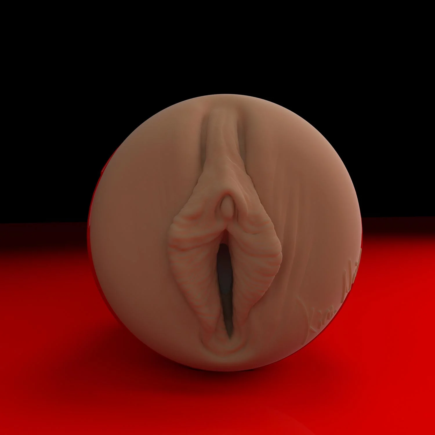 Kira Noir Ricky's Room Fleshlight - Image 2