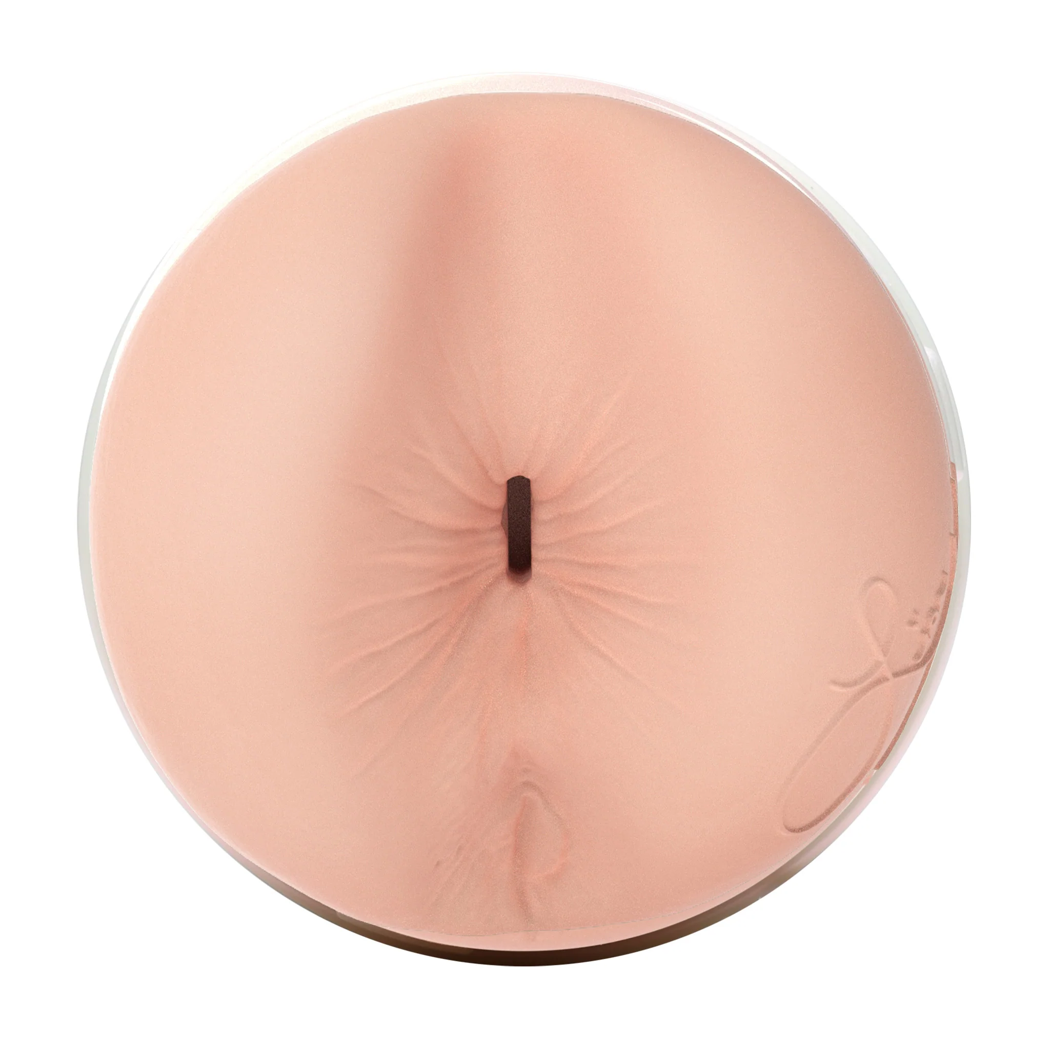 Lisa Ann Fleshlight - Image 11
